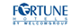Fortune Hotels 
